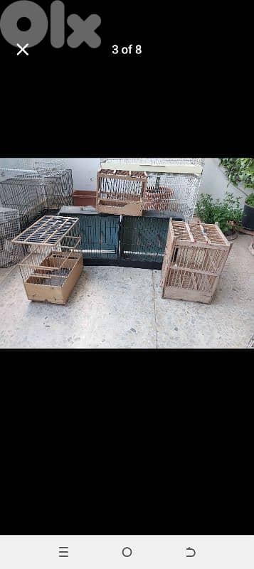 Birds Cages 4