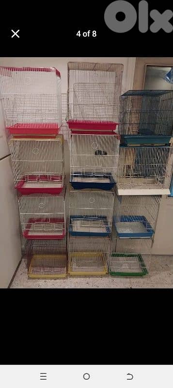 Birds Cages 5