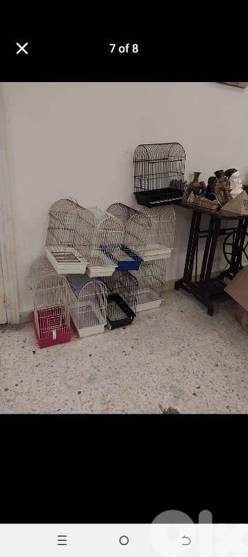 Birds Cages 7