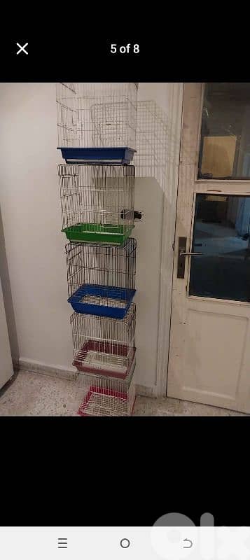Birds Cages 8