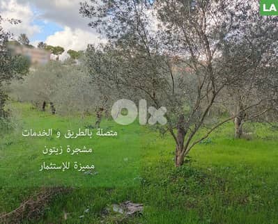 Great deal, prime area, Nabatieh, Jebchit/جبشيت, النبطية REF#LA133381