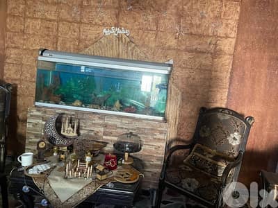 حوض سمك كبير