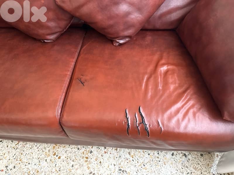 FAP genuine leather sofa bed with mattress 1