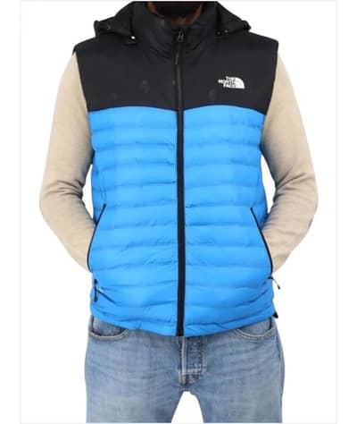 the north face vest 700