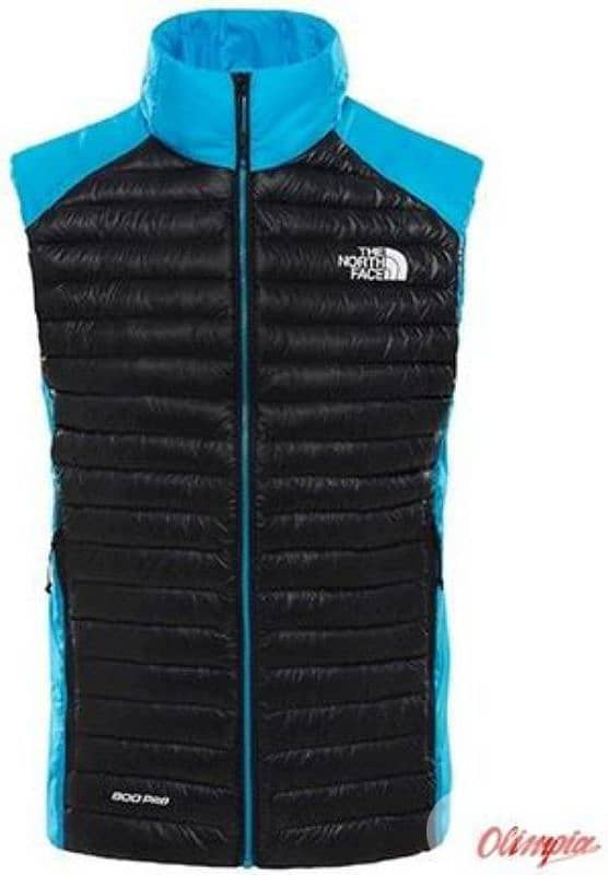 the north face vest 800 pro 1