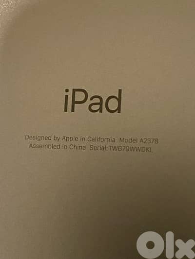 صيدا عين الدلب