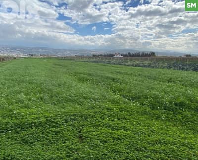 Agricultural land for sale ,prime location , Arqa  /عرقا REF#SM133412