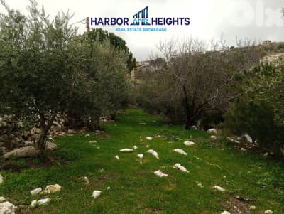 Land and Farm for Rent in Obeidat أرض ومزرعة للإيجار في العبيدات