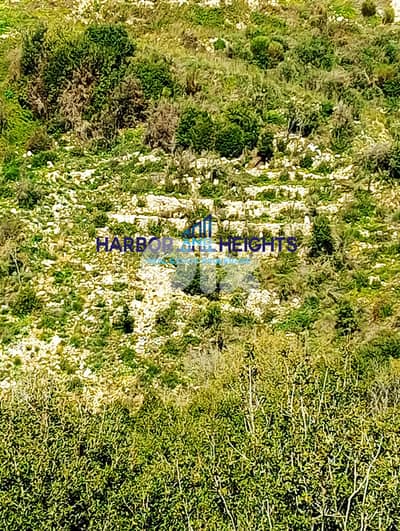 Land for Sale in Ramout, Jbeil أرض للبيع في الراموط