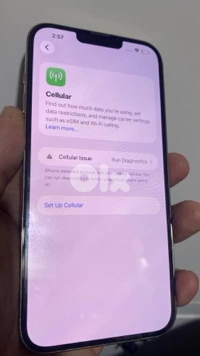 iphone 13 pro max 1 terra