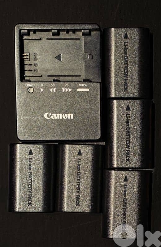 canon camera + lens + speedlite 5