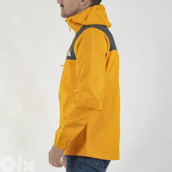 the north face mountain Q jacket 2