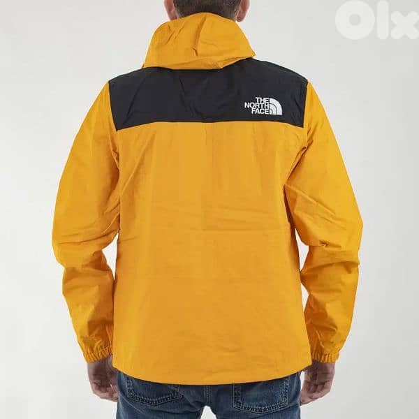 the north face mountain Q jacket 3