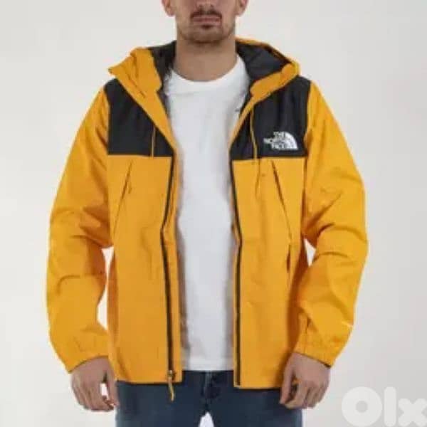 the north face mountain Q jacket 4