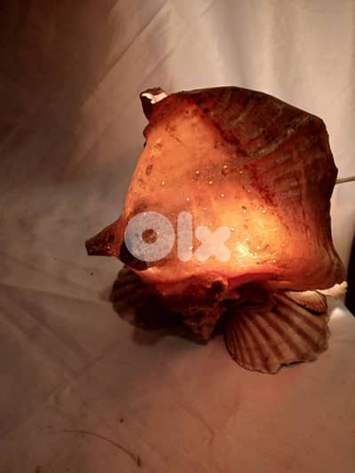 أباجورة صنع يدوي من الصدف