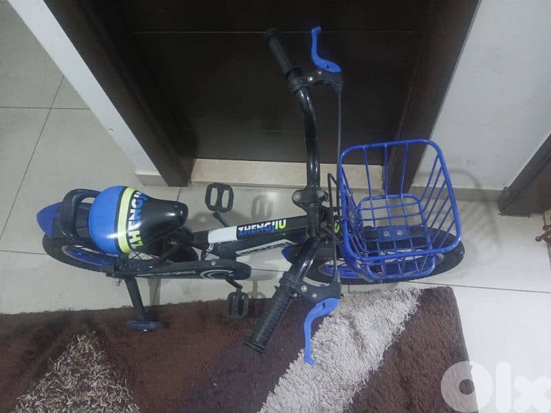 kids bicycle 2