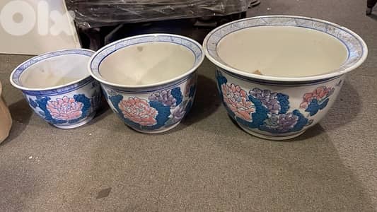 بويات زريعة