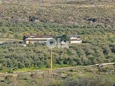 مزرعة مرخصة للبيع في بزيزا-الكورة lands +Farm for sale in Bziza_koura