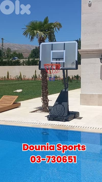 movable basketball hoop (Backboard 120x80cm)