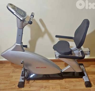 lazy bike body systems