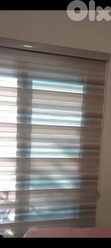 برادي عدد ٣