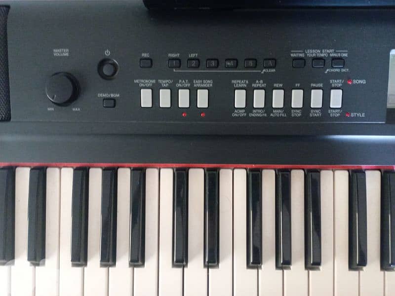 yamaha piaggero NP-V60 3
