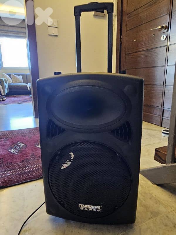 speaker with micro 1