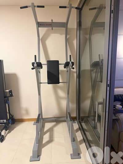 Body System Power Tower