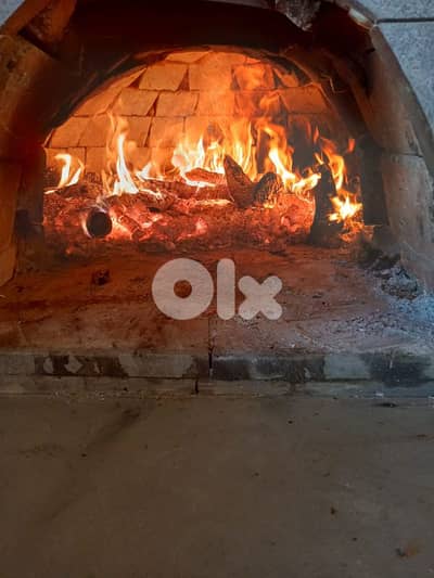 Wood fired oven