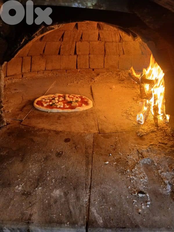 Wood fired oven 1