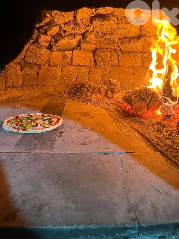 Wood fired oven 2