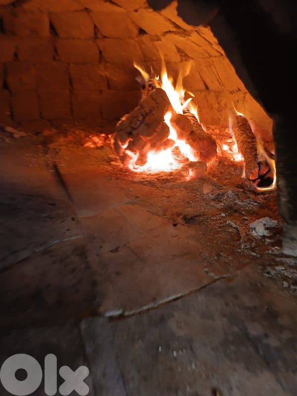 Wood fired oven 3