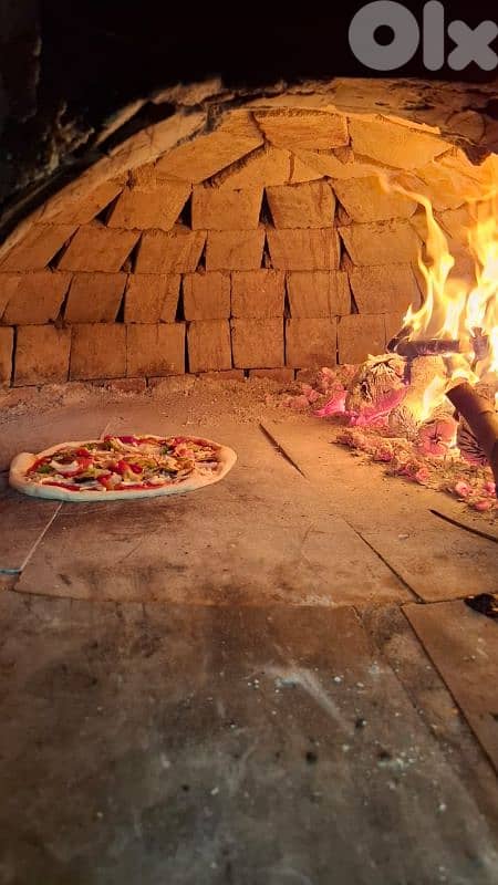 Wood fired oven 5