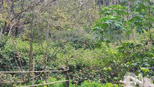 Land for Sale Antelias | 814 Sq. m