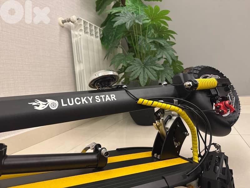 Luvky star electric scooter 1