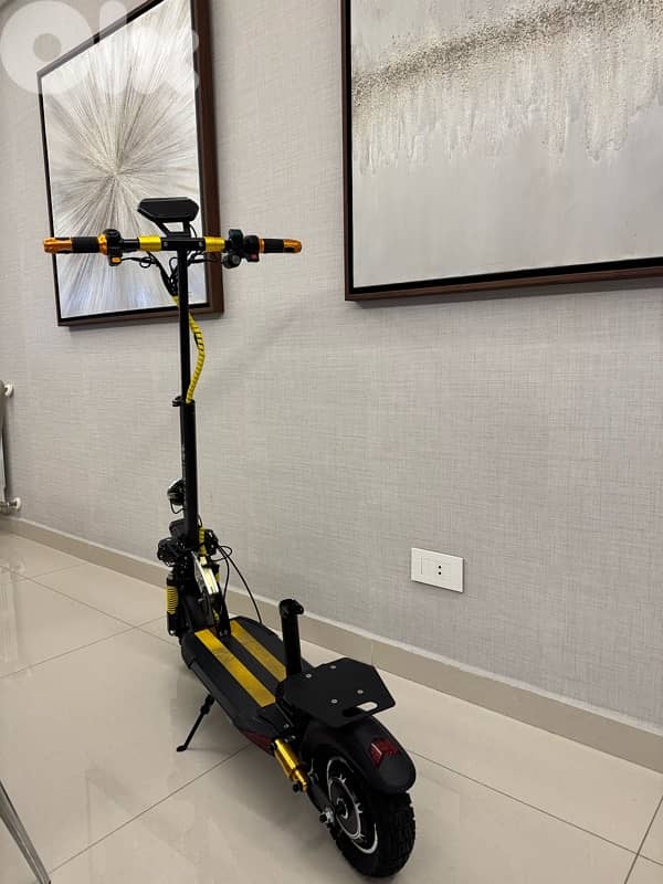 Luvky star electric scooter 6