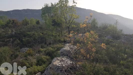 RWB346CA - Land for sale in Lehfed Jbeil