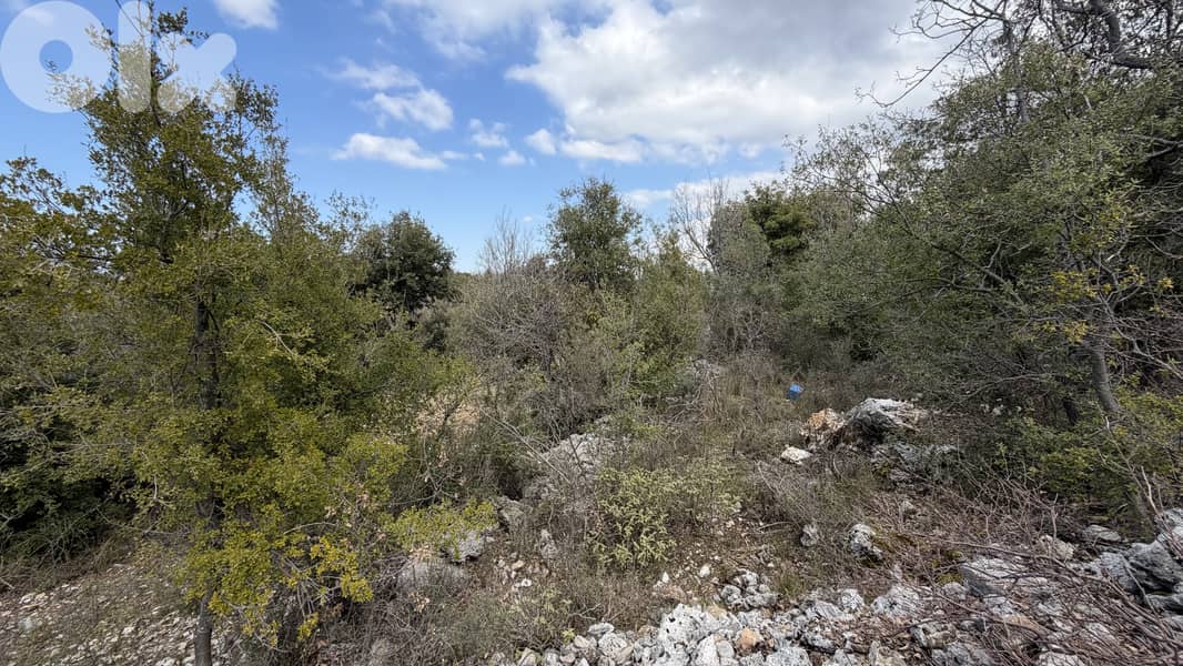 RWB346CA - Land for sale in Lehfed Jbeil 5