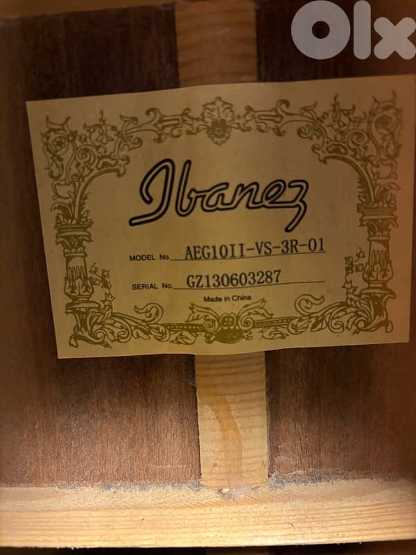 Ibanez Electro-Acoustic Guitar 2