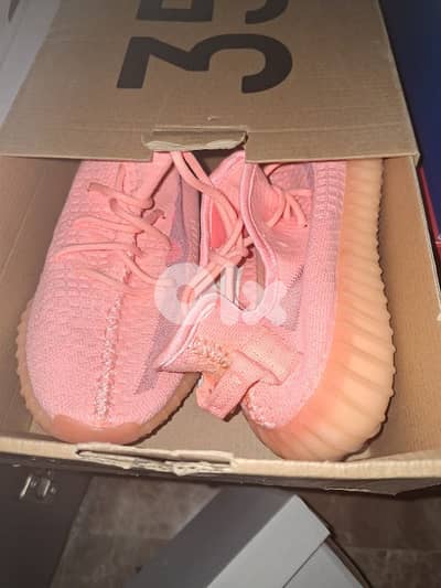 adidas yeezy