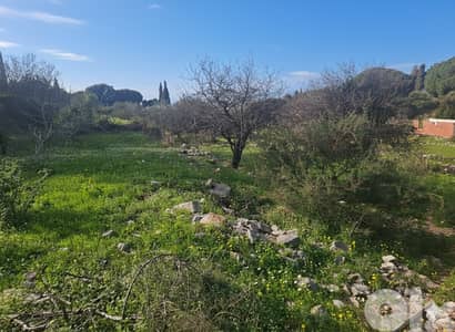Land For Sale In Batroun | Open View | أرض للبيع | PLS 26471