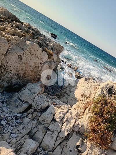 For sale Land in Halat by the sea