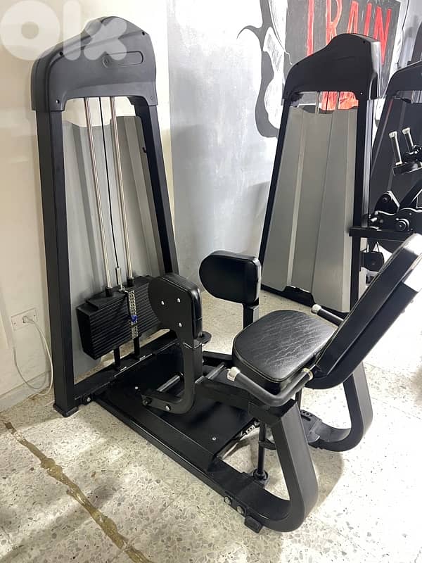chest press / adductor machine 2