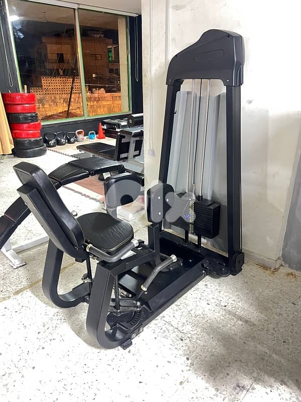 chest press / adductor machine 3