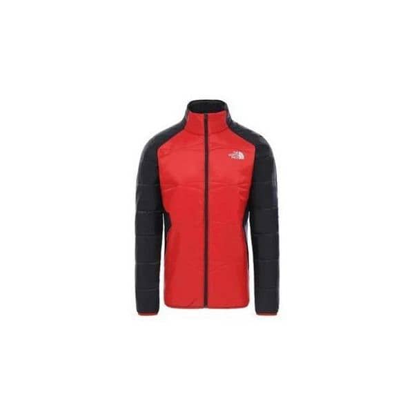 the north face jacket 1