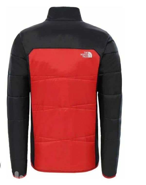 the north face jacket 2