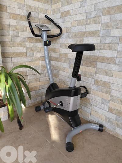 Body System Magnetic Bike