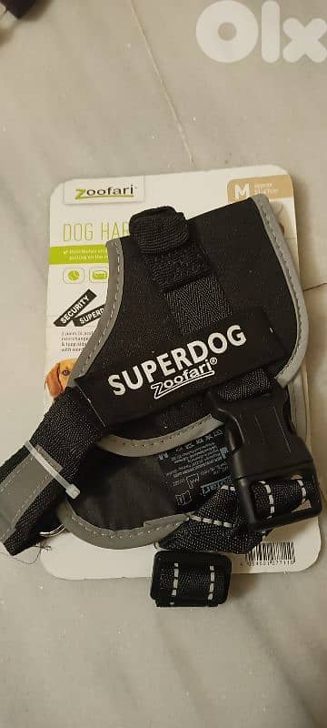 dog leash and harness