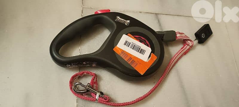 dog leash and harness 1