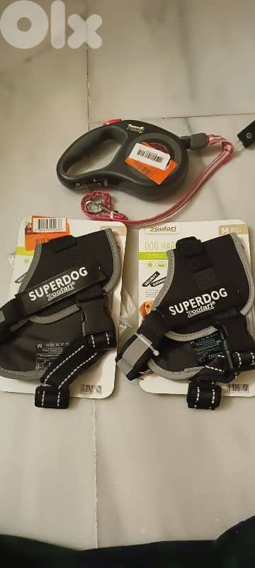 dog leash and harness 2
